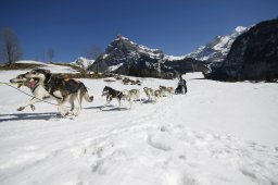 Kandersteg 2011