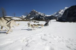 Kandersteg 2011