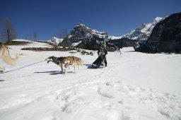 Kandersteg 2011