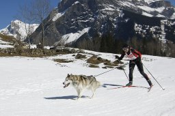 Kandersteg 2011