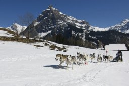 Kandersteg 2011