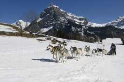 Kandersteg 2011