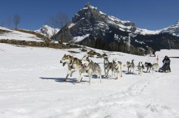 Kandersteg 2011