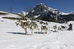 Kandersteg 2011