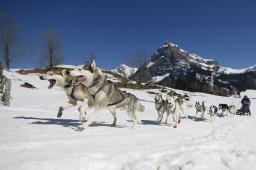 Kandersteg 2011