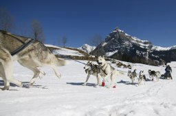 Kandersteg 2011