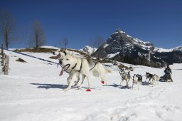 Kandersteg 2011