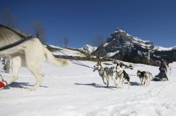 Kandersteg 2011