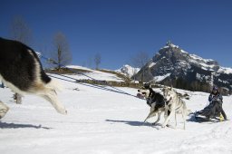 Kandersteg 2011