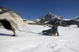 Kandersteg 2011