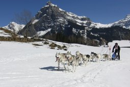 Kandersteg 2011