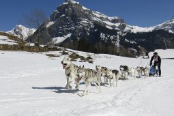 Kandersteg 2011