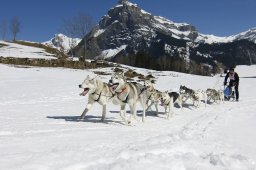 Kandersteg 2011