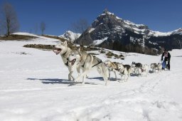 Kandersteg 2011