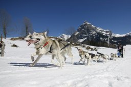 Kandersteg 2011