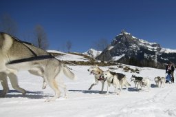 Kandersteg 2011