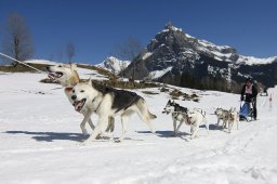 Kandersteg 2011