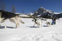 Kandersteg 2011