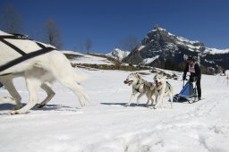 Kandersteg 2011