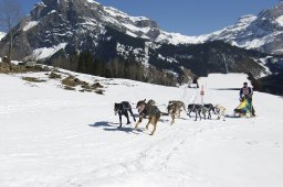 Kandersteg 2011