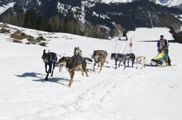 Kandersteg 2011