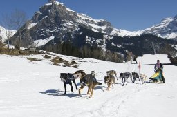 Kandersteg 2011