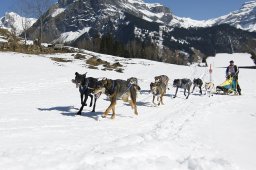 Kandersteg 2011