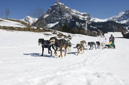 Kandersteg 2011