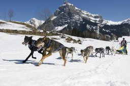 Kandersteg 2011