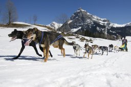 Kandersteg 2011