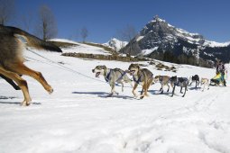 Kandersteg 2011