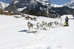 Kandersteg 2011