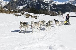 Kandersteg 2011