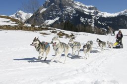 Kandersteg 2011