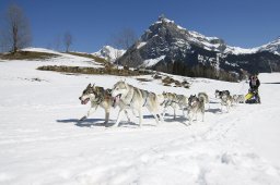 Kandersteg 2011