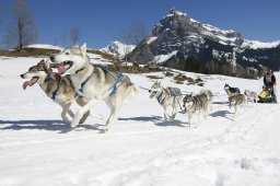 Kandersteg 2011