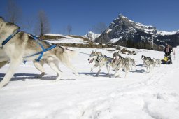 Kandersteg 2011