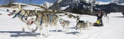 Kandersteg 2011