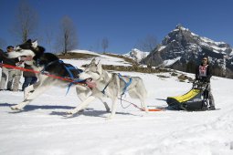 Kandersteg 2011