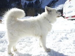 Kandersteg 2014 WM