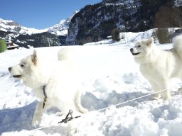 Kandersteg 2014 WM