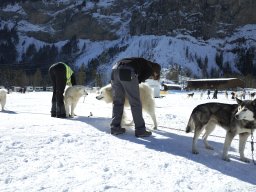 Kandersteg 2014 WM