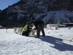 Kandersteg 2014 WM