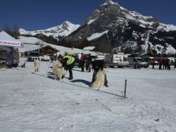 Kandersteg 2014 WM