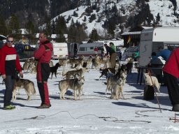 Kandersteg 2014 WM