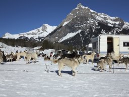 Kandersteg 2014 WM