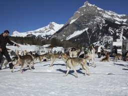 Kandersteg 2014 WM