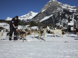 Kandersteg 2014 WM