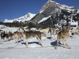 Kandersteg 2014 WM