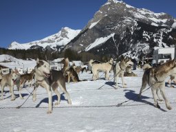 Kandersteg 2014 WM